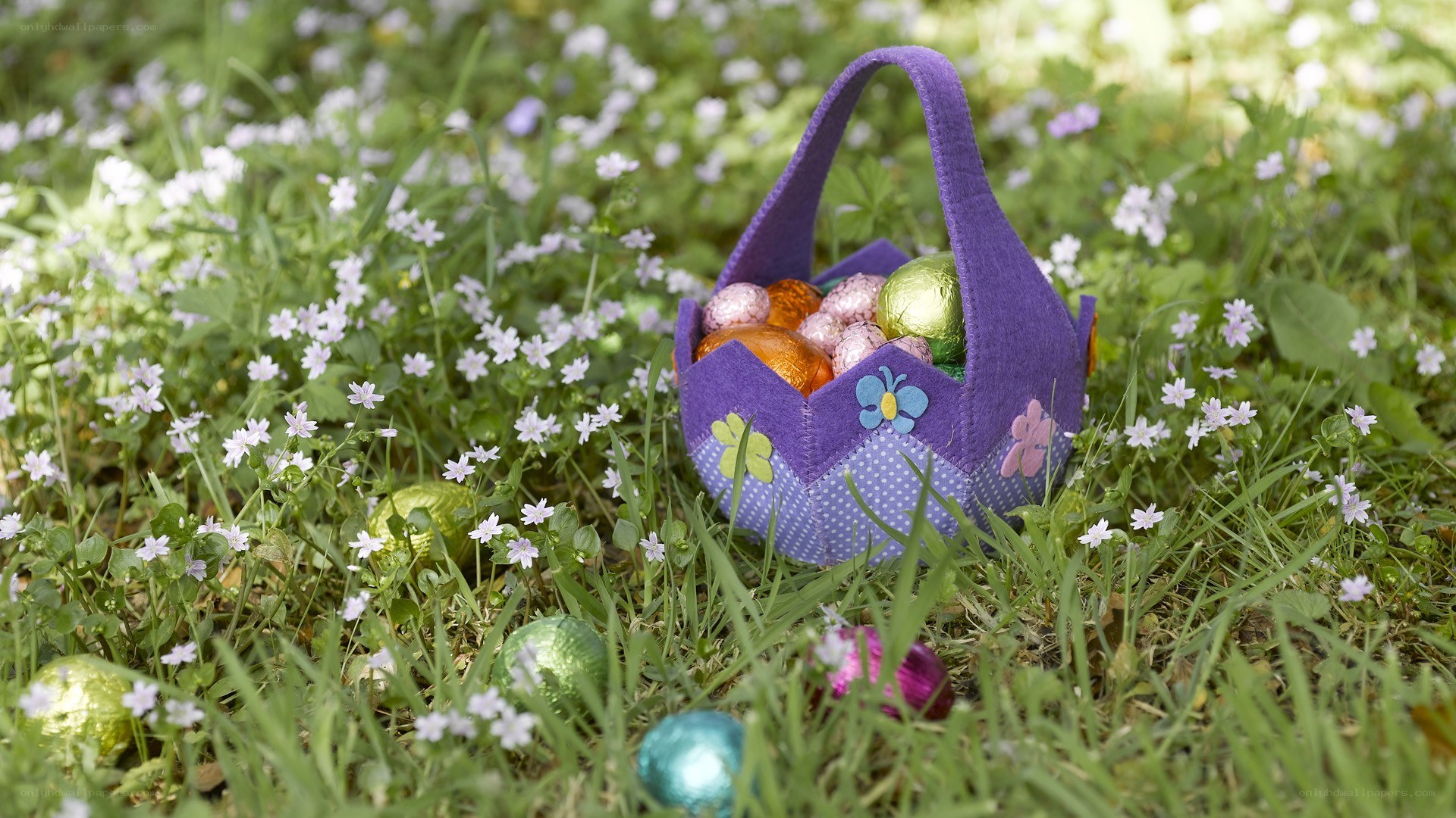 Easter basket in a flower field