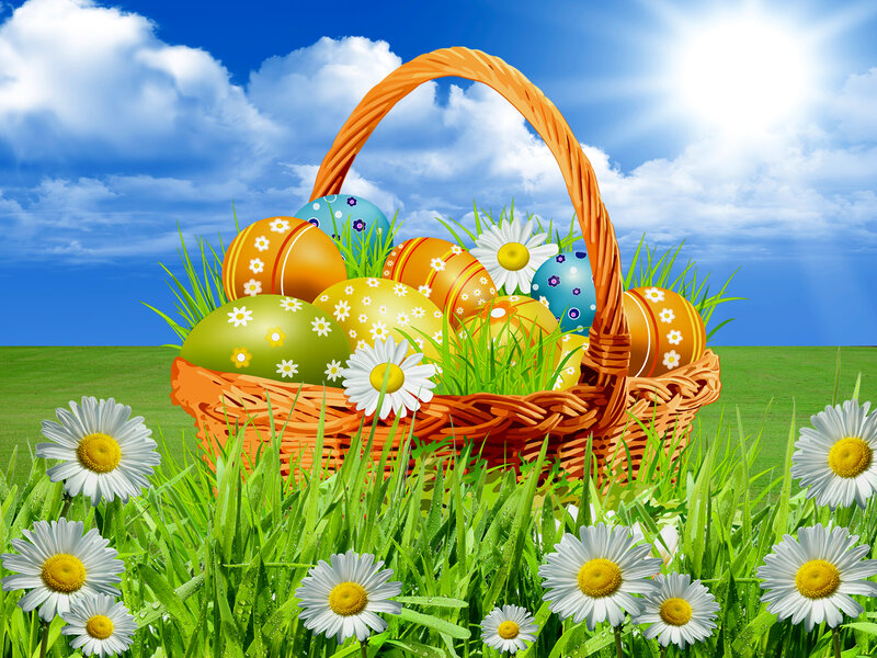Easter Basket in Grass — Green, Cheerful