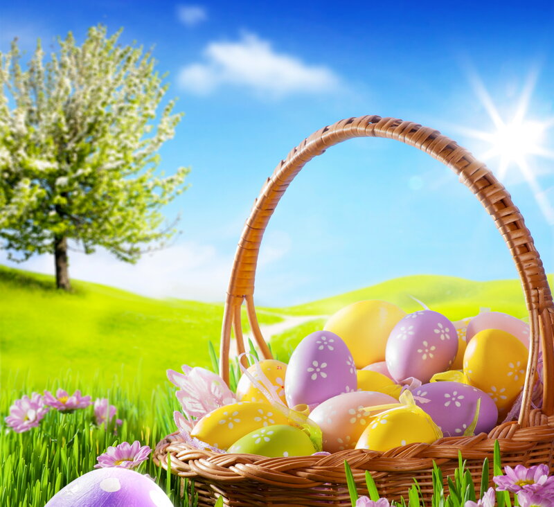 Easter Basket in Grass — Green, Serene