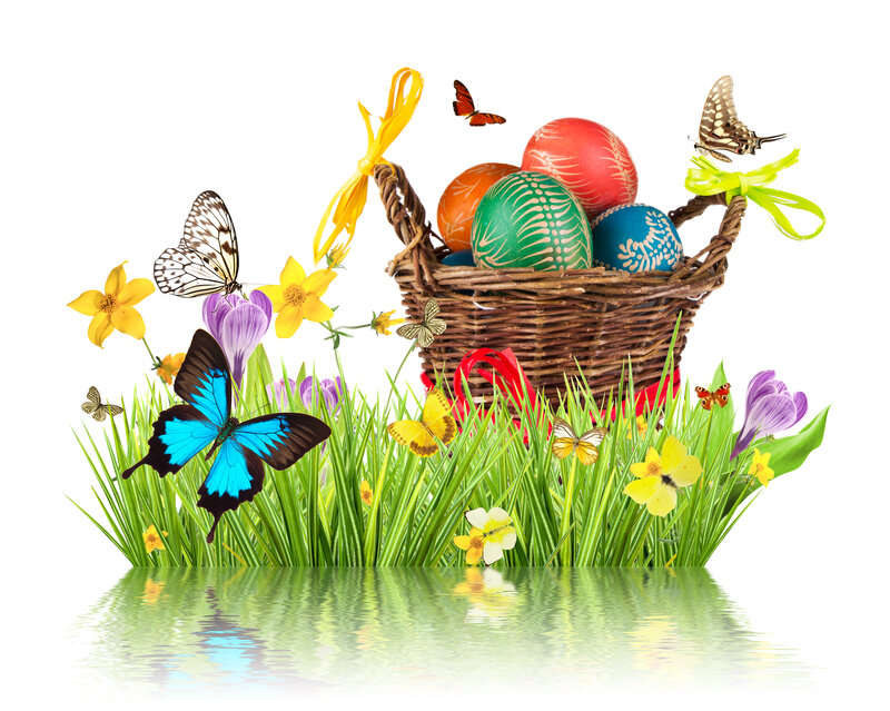 Easter Basket with Butterflies