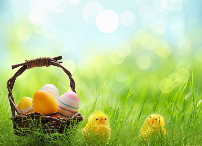 Easter Basket with Chicks