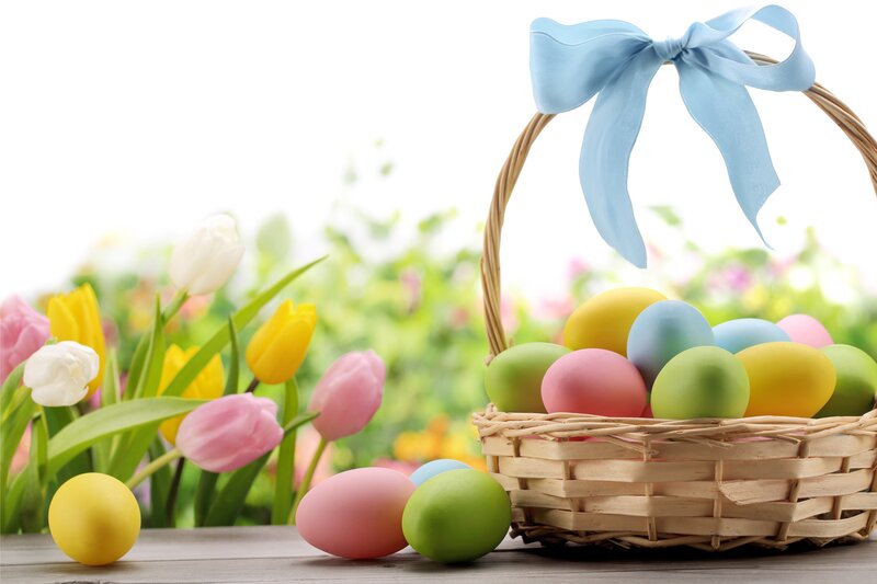Easter Basket with Eggs — Blue, Festive, Spring, Photograph, Tulips