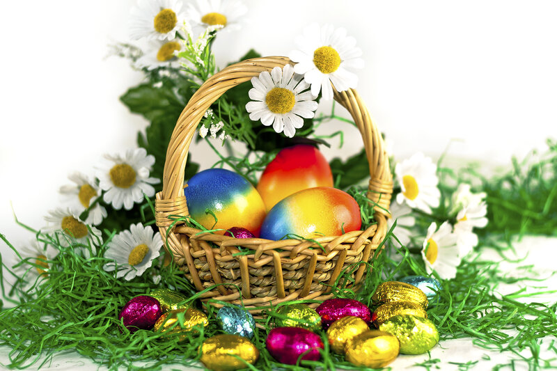 Easter Basket with Eggs — Green, Festive, Spring, Photograph, Daisies