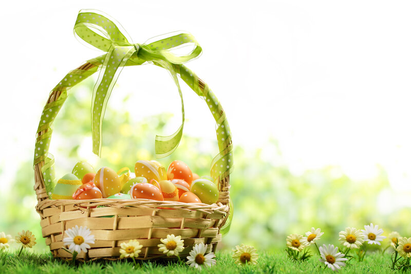 Easter Basket with Eggs — Green, Serene, Spring, Photograph