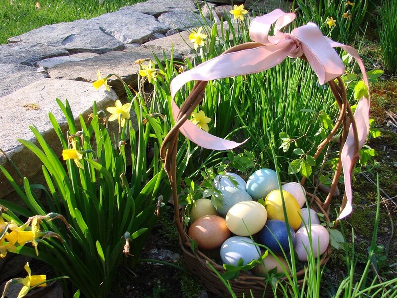 Easter Basket with Eggs — Green, Serene, Spring