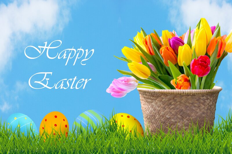 Easter Basket with Tulips — Blue