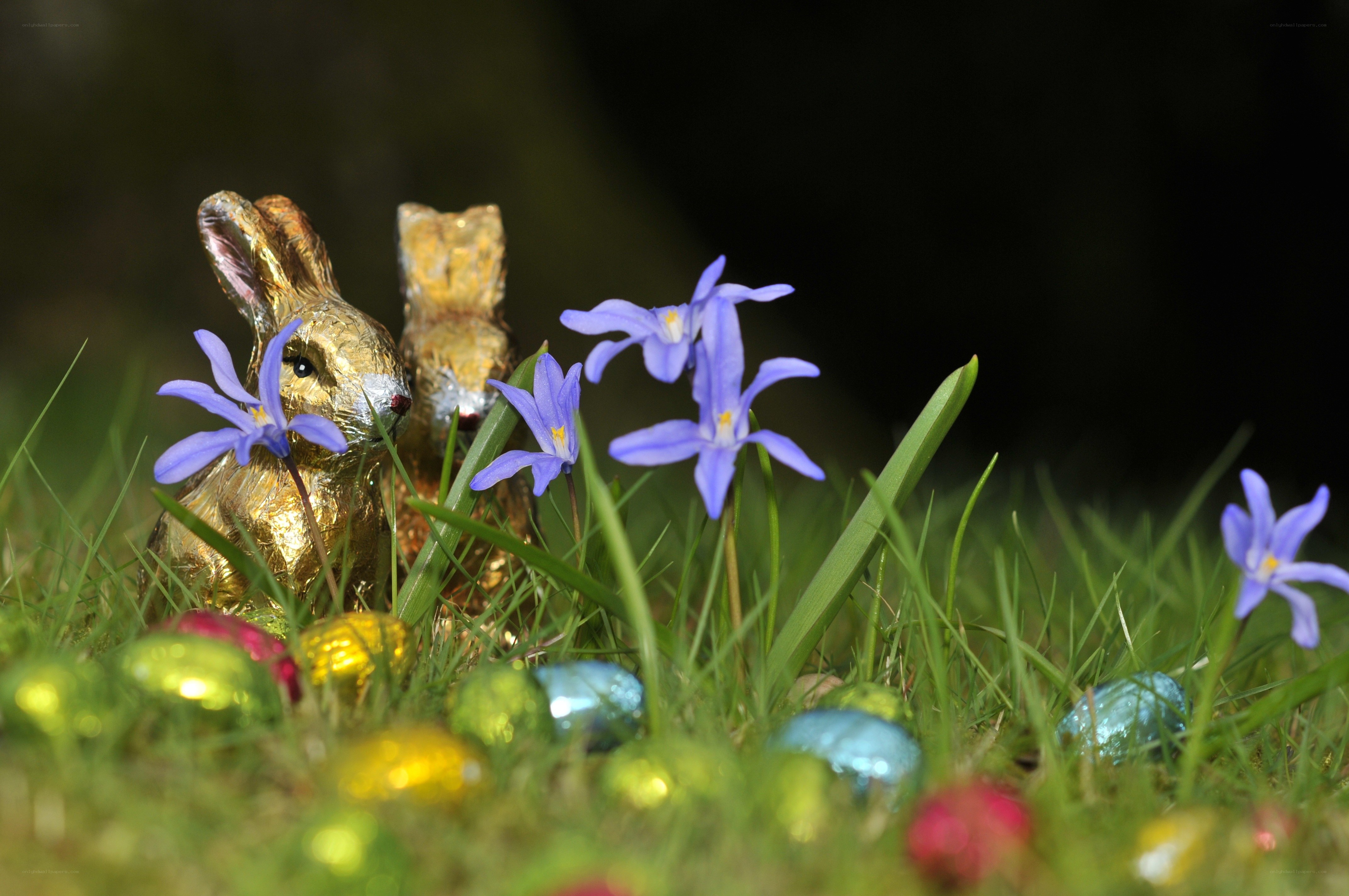 Easter bunnies and flowers