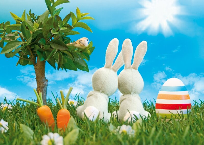 Easter bunnies in a sunny field