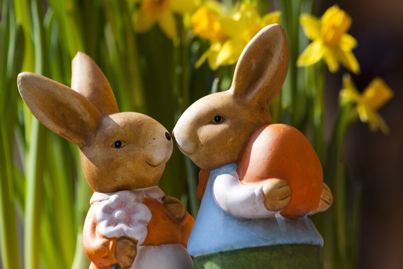 Easter bunnies with daffodils