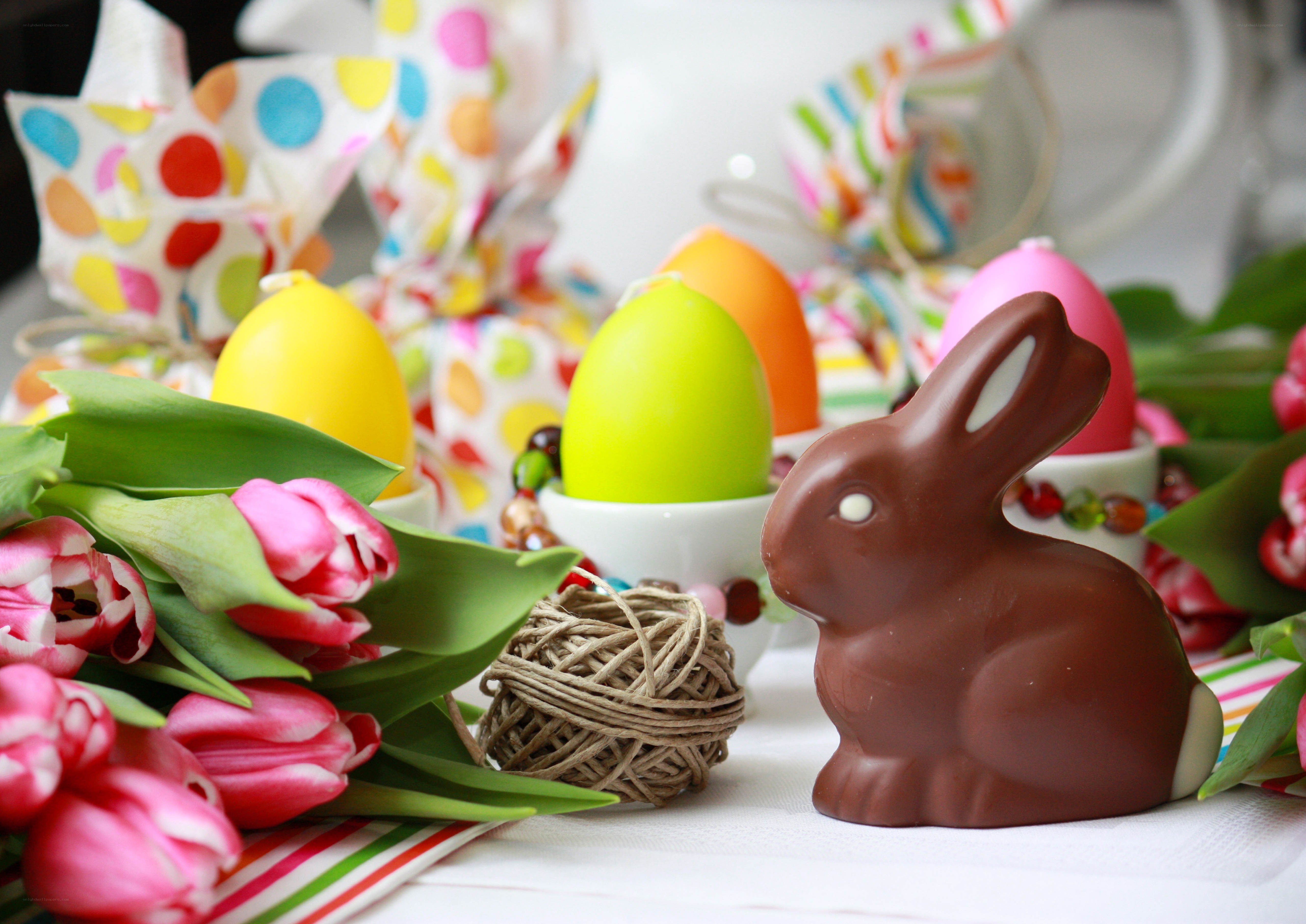 Easter bunny and colorful eggs