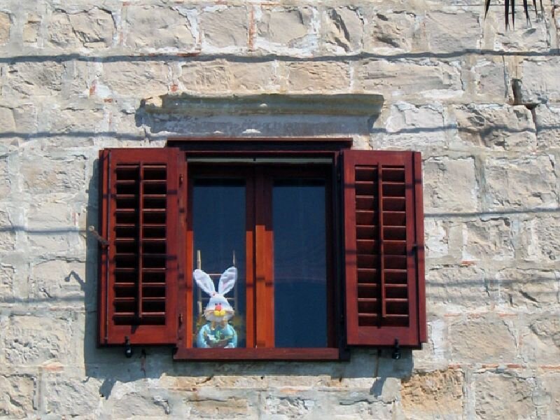 Easter bunny in window