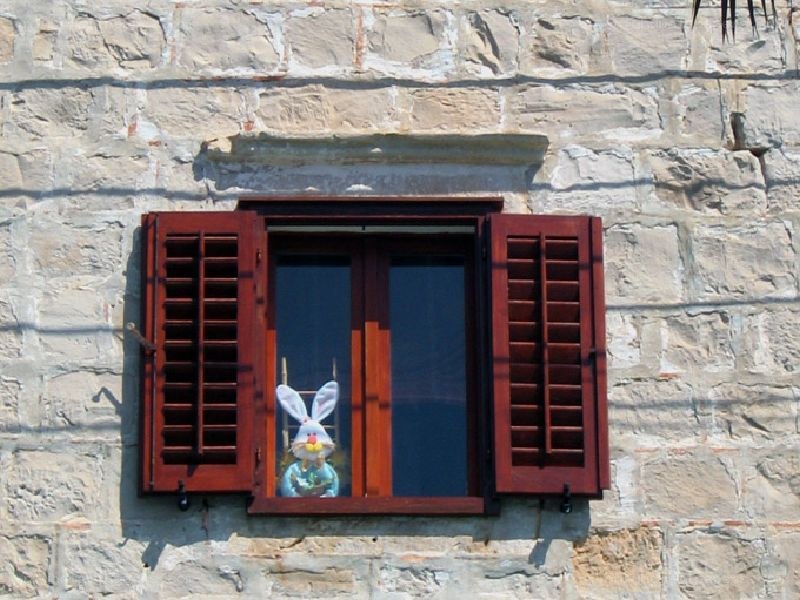 Easter bunny in window
