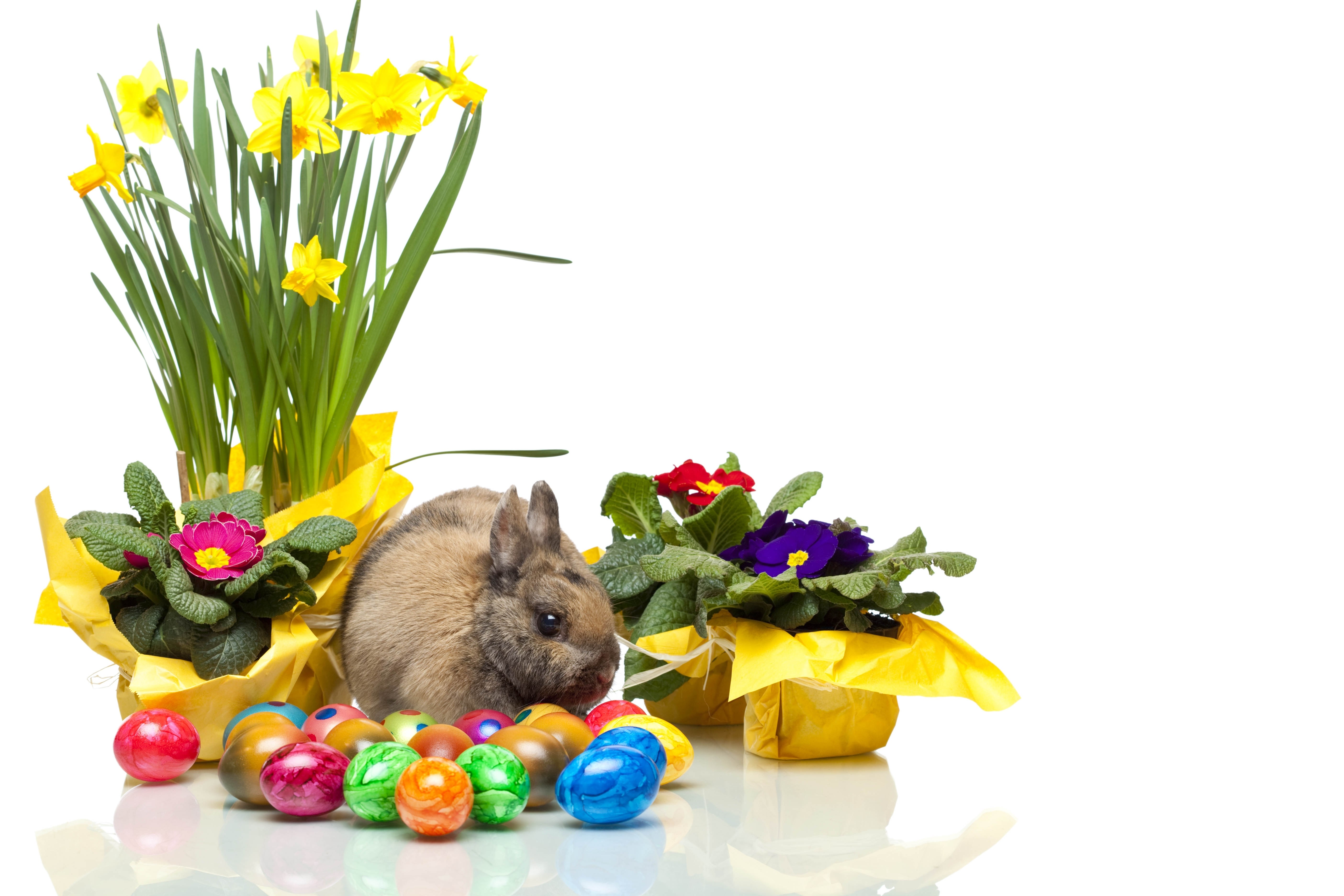 Easter bunny with flowers and eggs