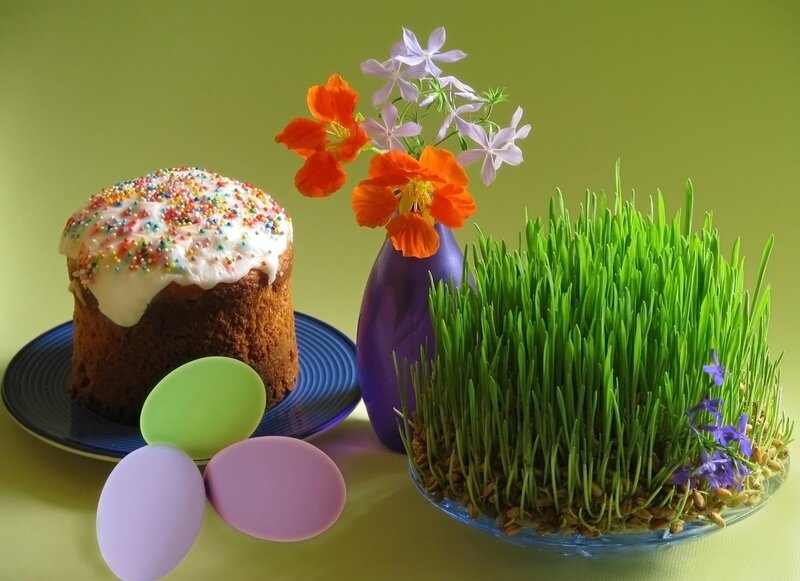 Easter cake and sprouts