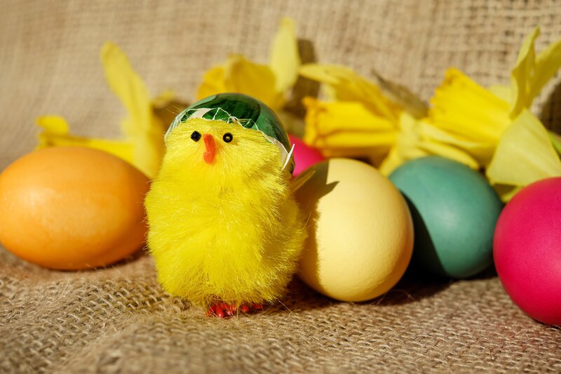 Easter chick with colorful eggs