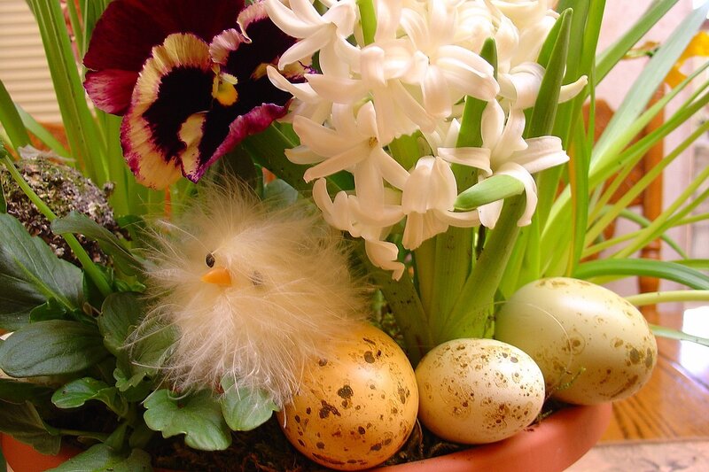 Easter Chick with Eggs