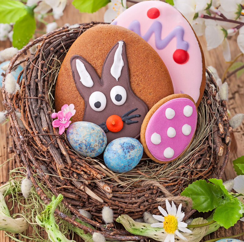 Easter Cookies in Nest