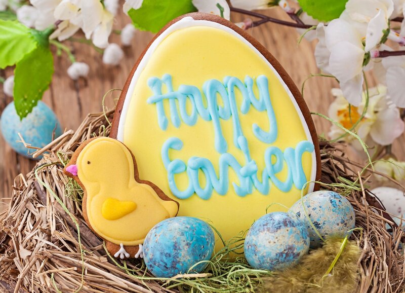 Easter Egg Cookies in Nest