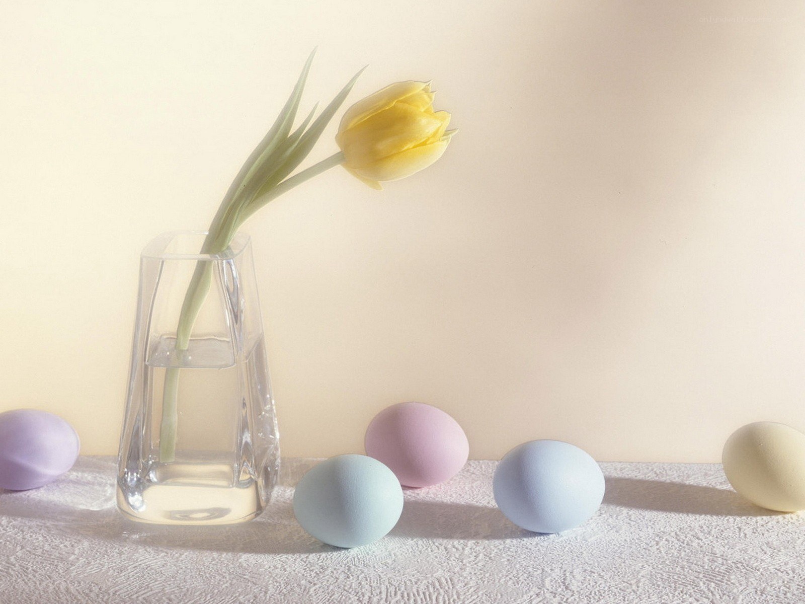 Easter eggs and a yellow tulip