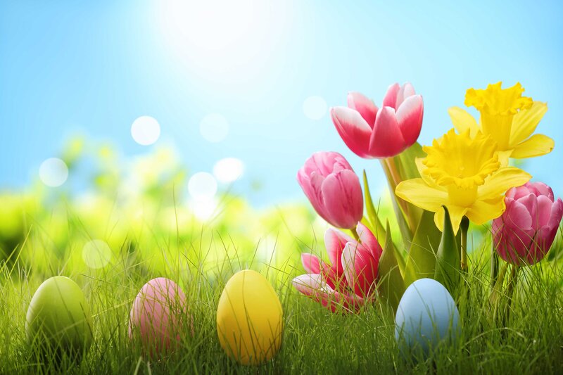 Easter Eggs and Flowers — Green, Bright