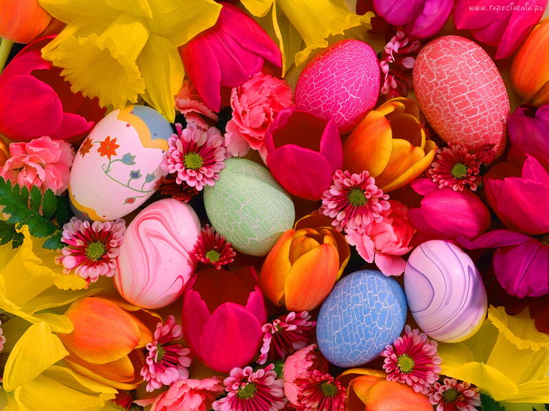 Easter Eggs and Flowers — Pink