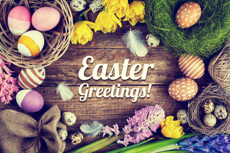 Easter Eggs and Flowers — Yellow, Festive, Spring, Photograph, Feathers
