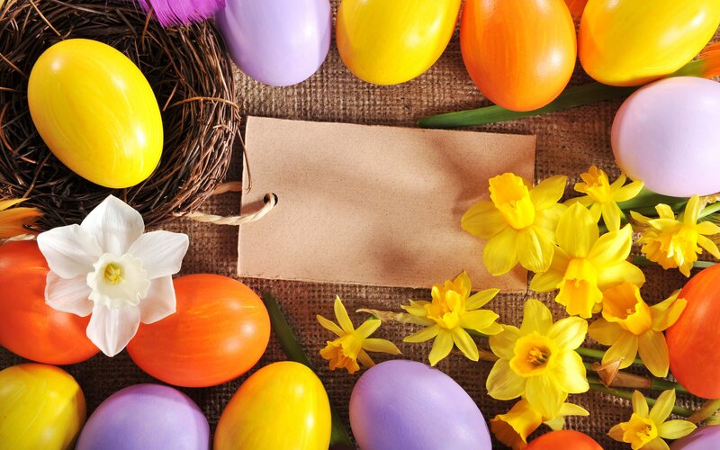 Easter Eggs and Flowers — Yellow, Festive, Spring, Photograph, Nest