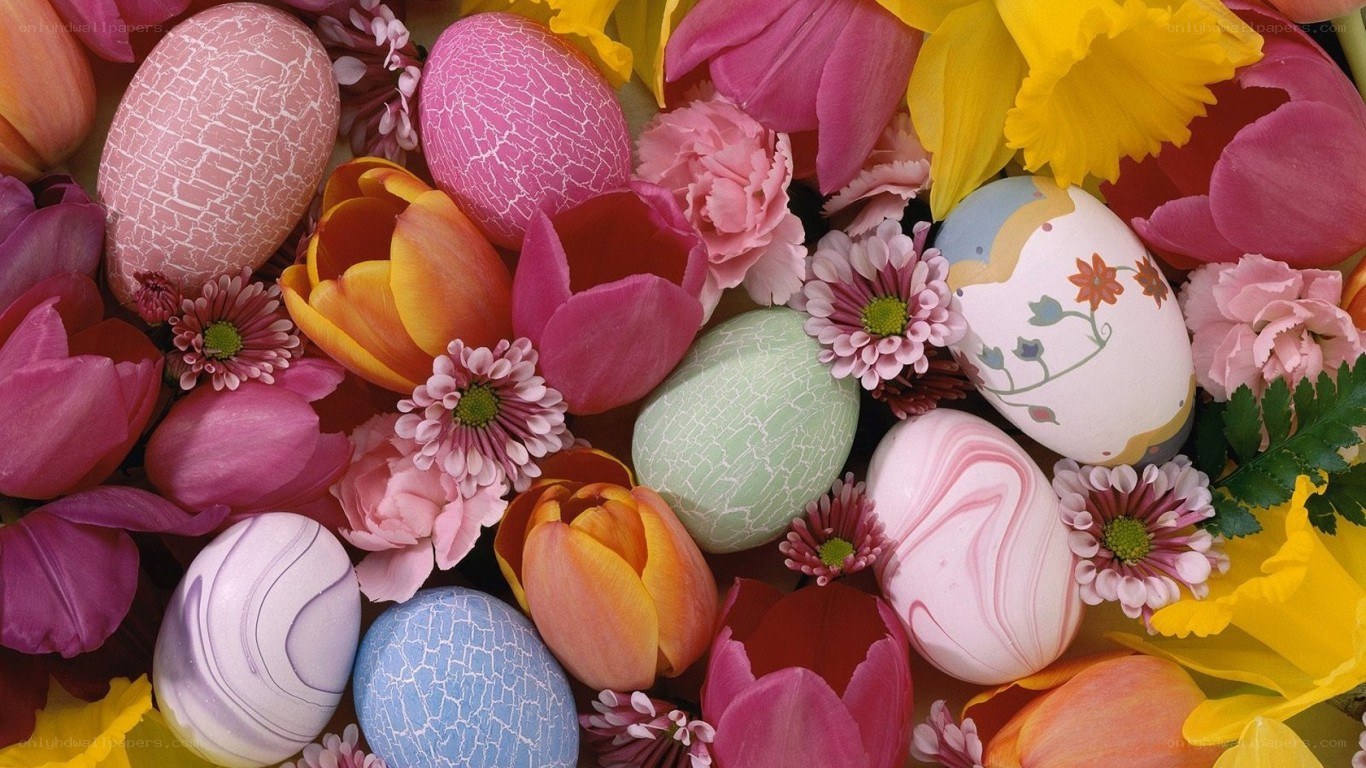 Easter eggs and flowers