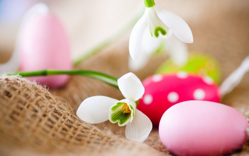 Easter Eggs and Snowdrops — Pink, Calm