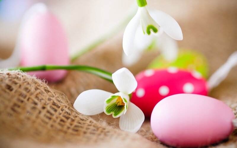 Easter Eggs and Snowdrops — Pink