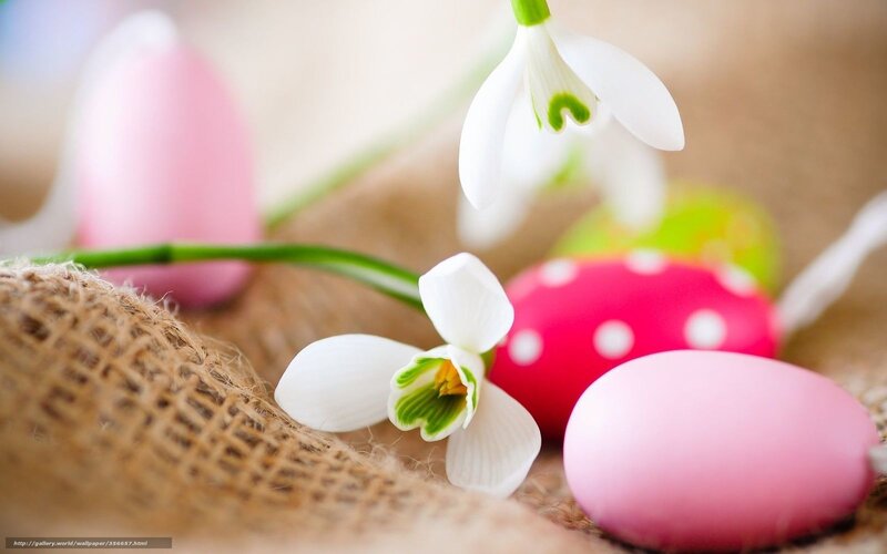 Easter eggs and snowdrops