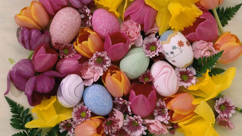 Easter eggs and spring flowers