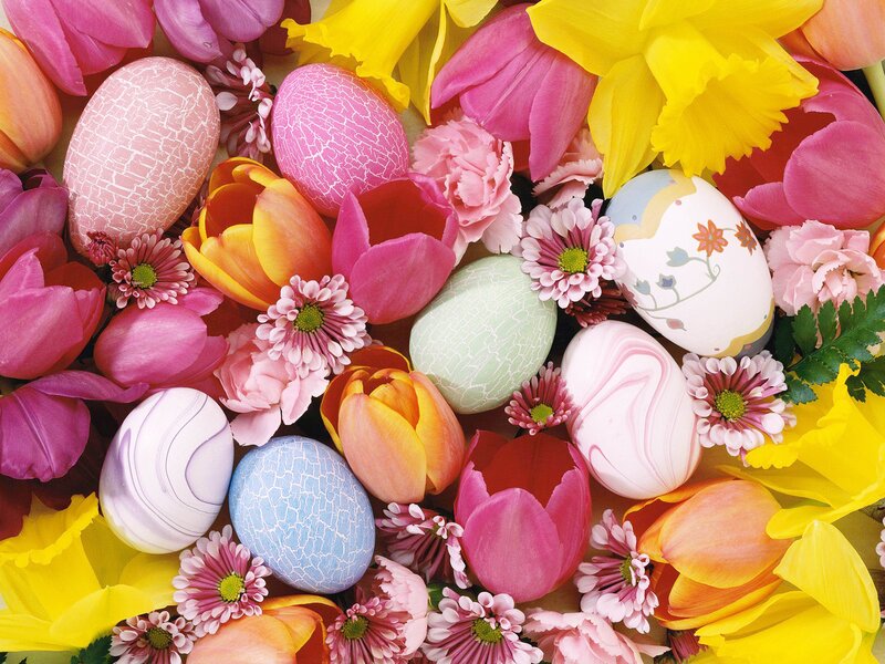 Easter eggs and spring flowers