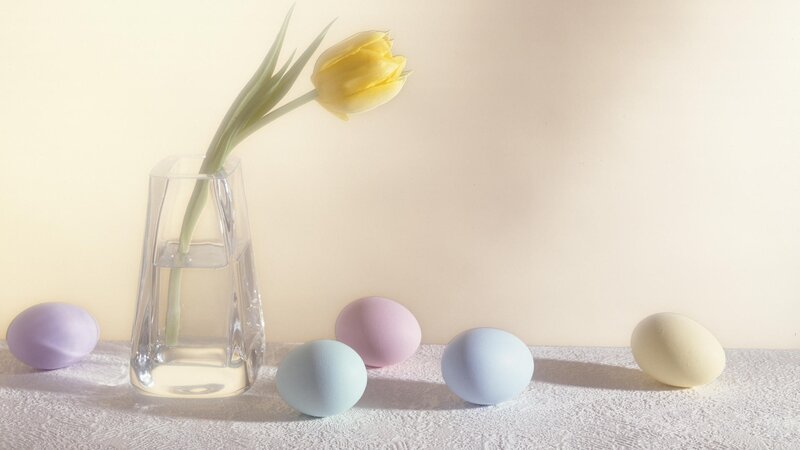 Easter eggs and tulip