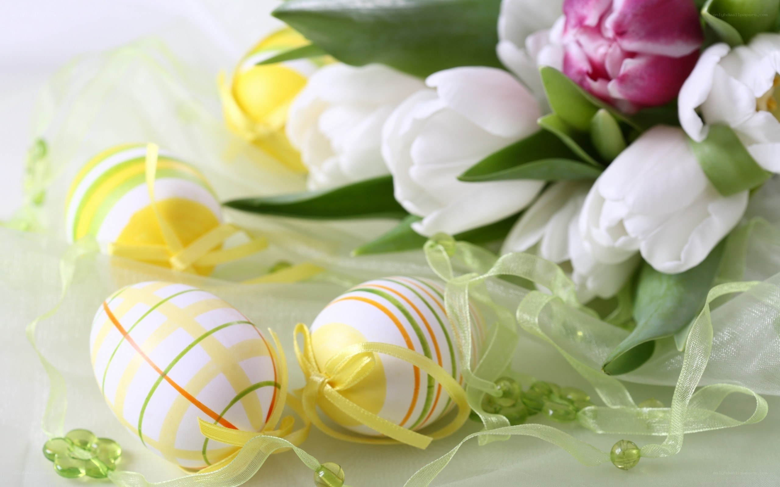 Easter eggs and tulips