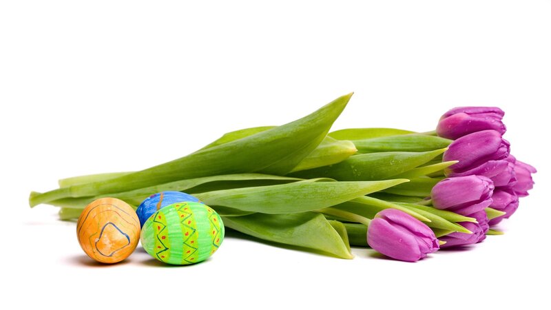 Easter eggs and tulips