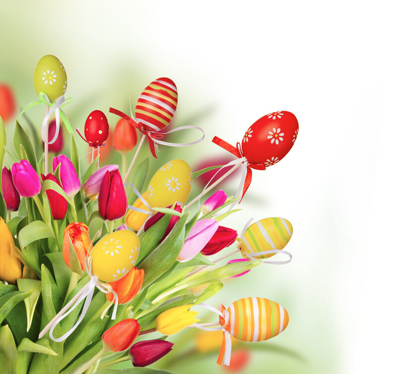 Easter Eggs and Tulips — Green, Festive, Spring