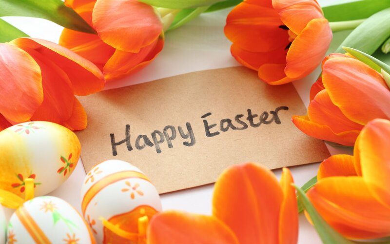 Easter Eggs and Tulips — Orange