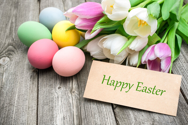 Easter Eggs and Tulips — Pink, Festive, Spring