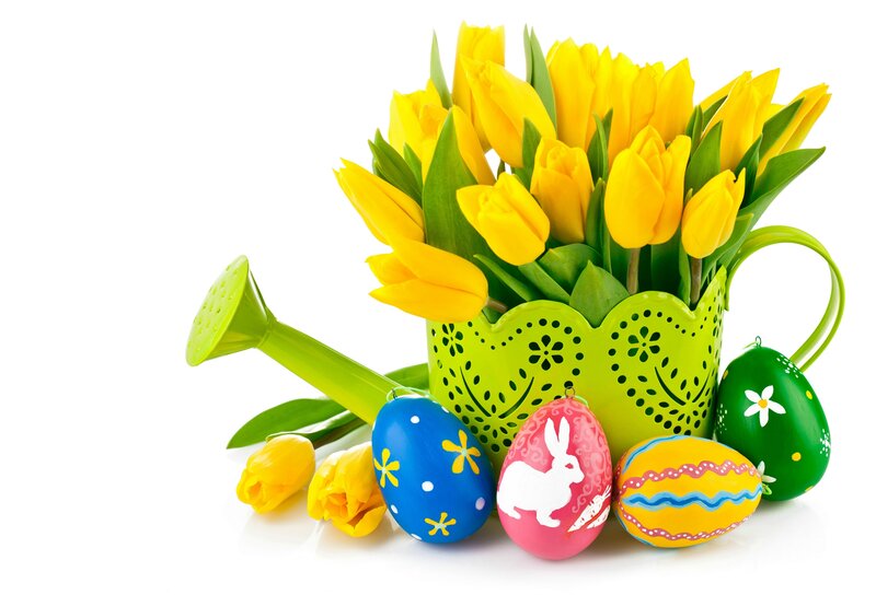 Easter Eggs and Tulips — Yellow, Festive, Spring, Photograph