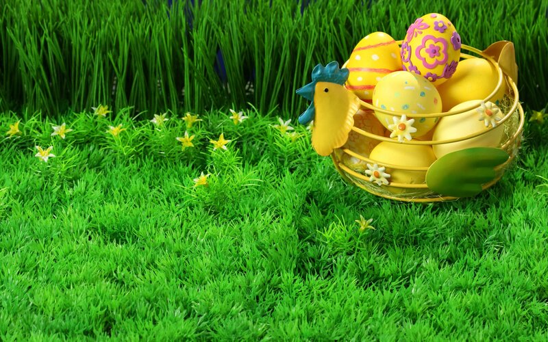 Easter eggs in a basket