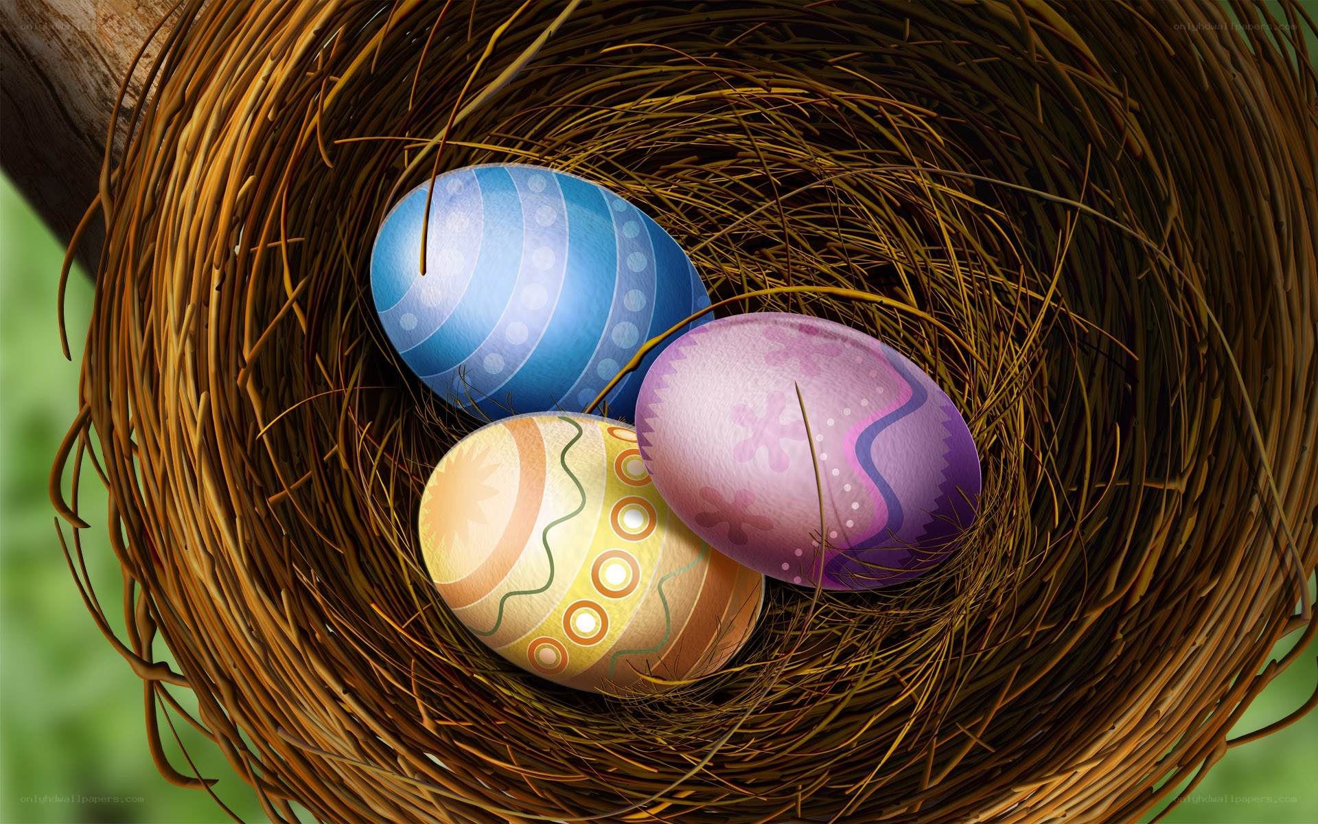 Easter eggs in a bird's nest