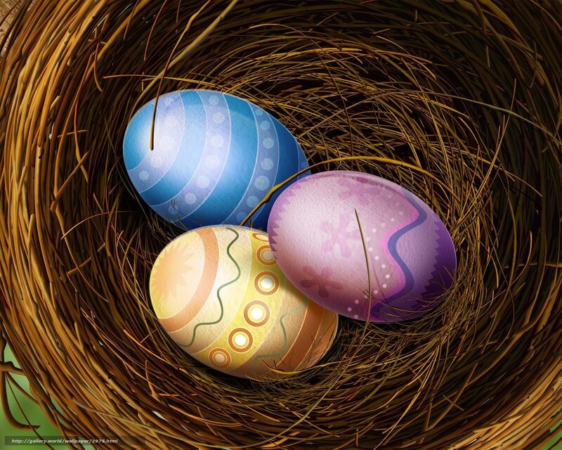 Easter eggs in a bird's nest