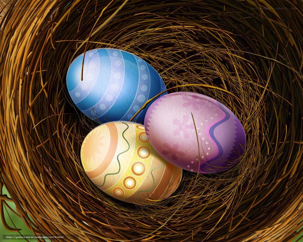 Easter eggs in a bird's nest