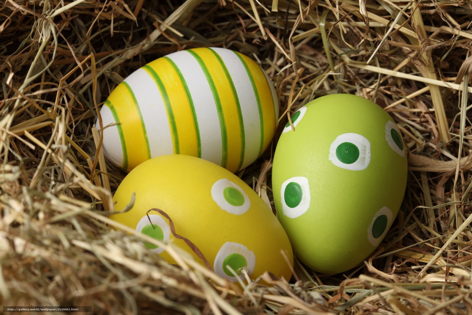 Easter eggs in a hay nest
