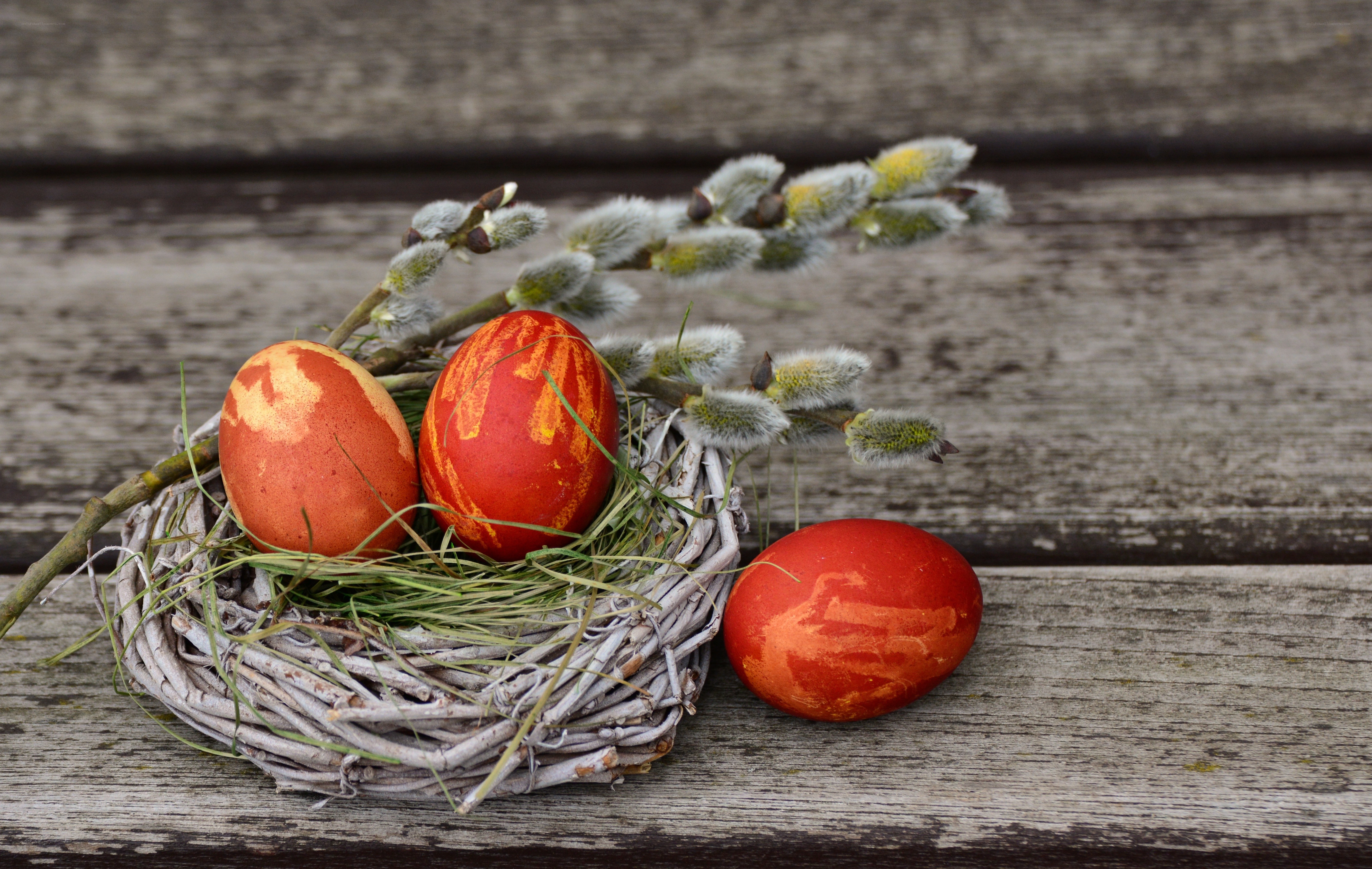 Easter eggs in a nest