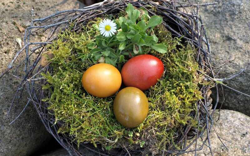 Easter eggs in a nest