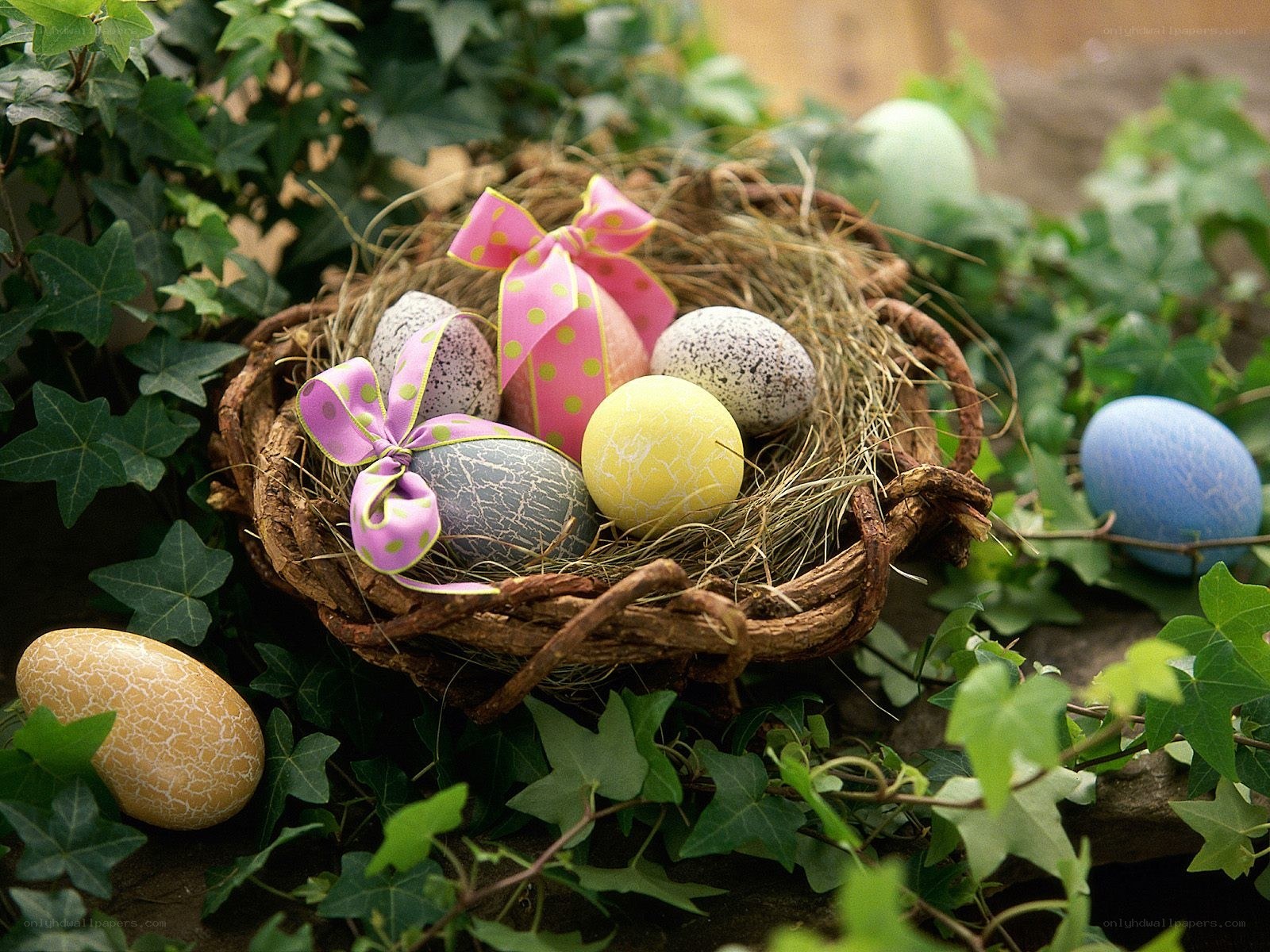 Easter eggs in a nest