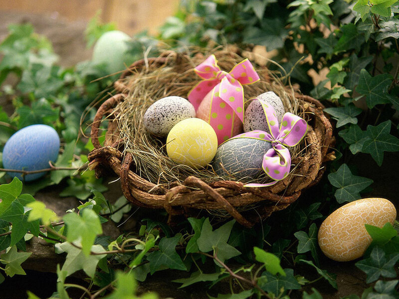 Easter eggs in a nest
