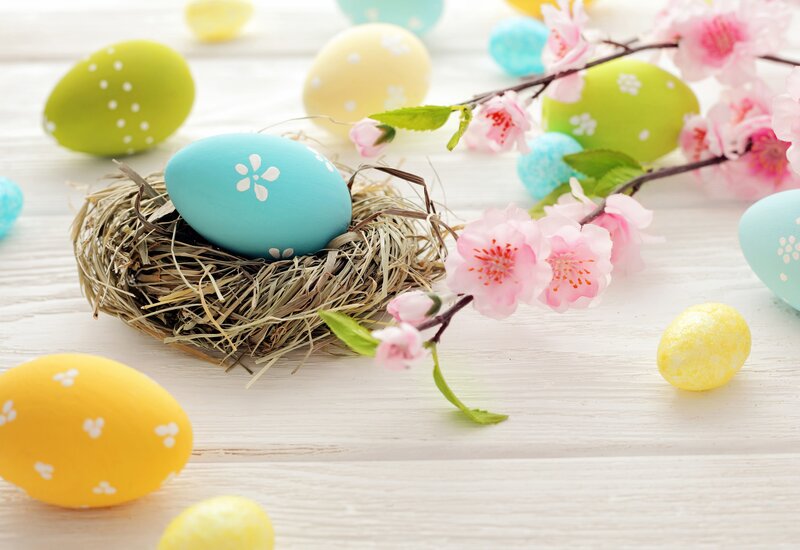 Easter Eggs in a Nest — Blue